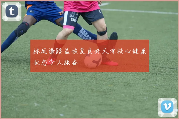 林庭谦膝盖恢复良好天津核心健康状态令人振奋
